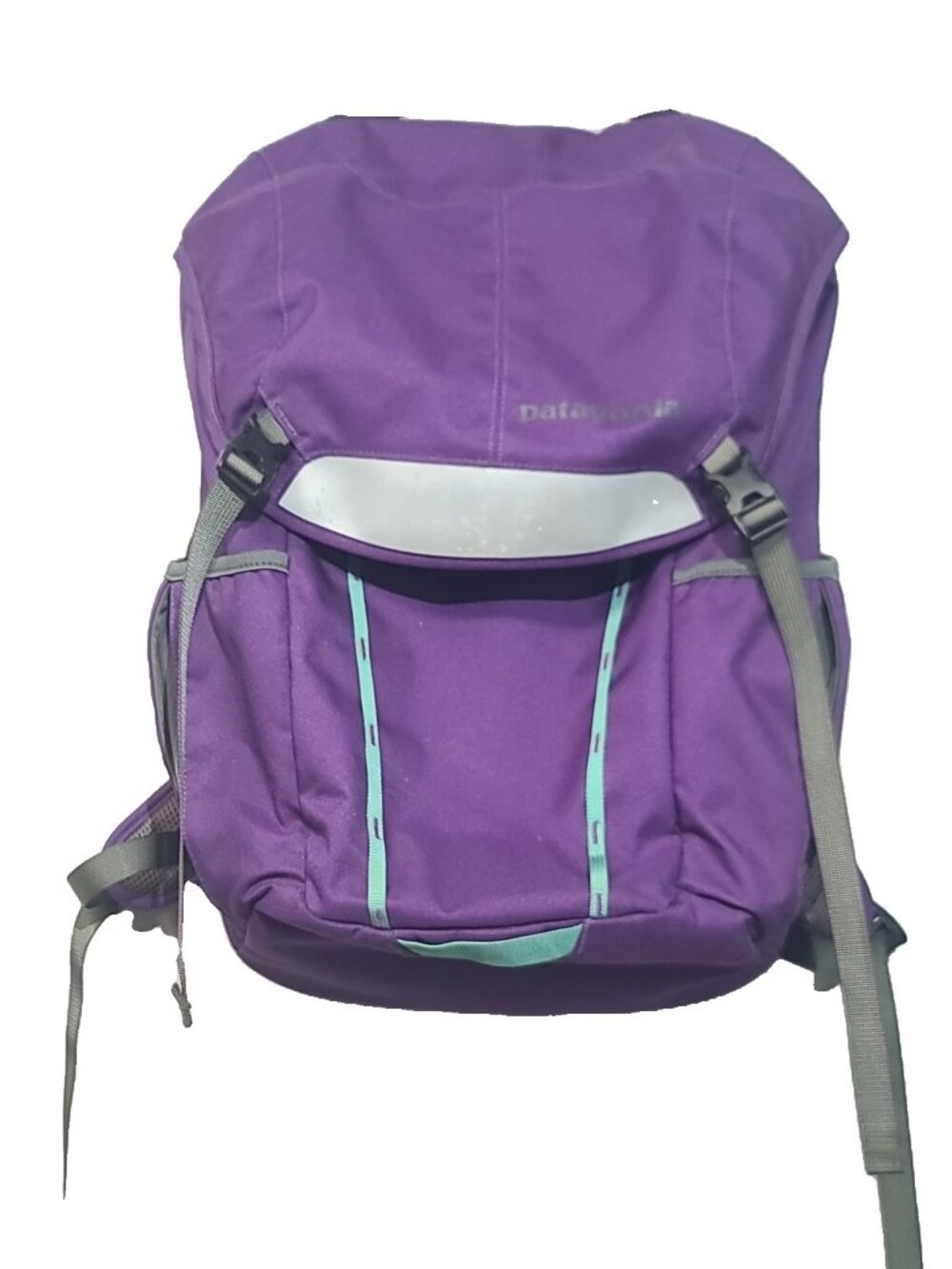Patagonia Critical Mass Pack Backpack M purple mint green GUC